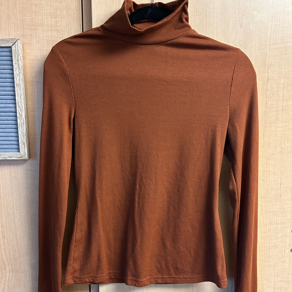 Brown Turleneck top